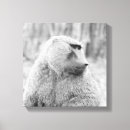 Search for baboon canvas prints African