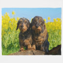 Search for dachshund blankets Animal