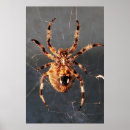 Search for black widow spider art Web