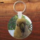 Search for cockatoo key rings Wildlife