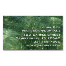 Search for sea grass Photography