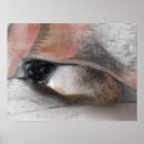 Search for cute sketches posters Kitten