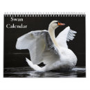 Search for swan calendars Animals
