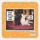 Search for catnip stickers I can has cheezburger