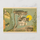 Search for victorian owl postcards Antique