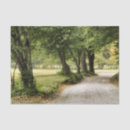 Search for path Landscape