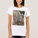 Search for mycelium clothing Nature
