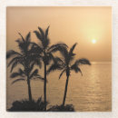 Search for palm tree coasters Sunset