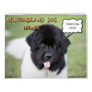 Search for funny calendars Humour