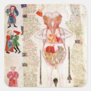 Search for dissection stickers Corpse