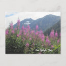 Search for anchorage postcards Snow