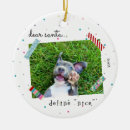 Search for define christmas tree decorations Dog