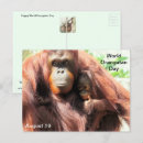 Search for endangered postcards Orangutan