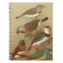 Search for perched Nature
