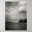 Search for marsh posters Outdoors