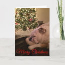 Search for english bulldog christmas cards Tree