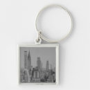 Search for architectural accessories Skyline