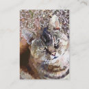 Search for tabby business cards Watercolor