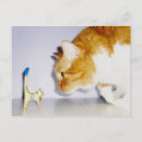 Search for laughing animals postcards Cute