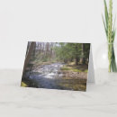 Search for rapids cards Stream