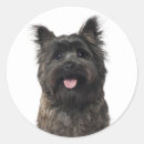 Search for canine stickers Rescue