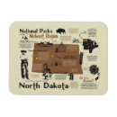 Search for north magnets Souvenir