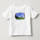 Search for pinus Nature