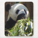 Search for panda mousepads Green