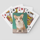 Search for corgi playing cards Pet