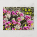 Search for sonoran postcards Cacti