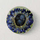 Search for windflower badges Nature