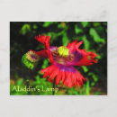Search for aladdin postcards Lamp