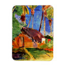 Search for hut magnets Tropical