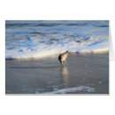 Search for nags head postcards Waves