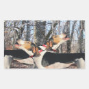 Search for coonhound stickers Treeing walker coonhound
