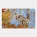 Search for great falls stickers Bird