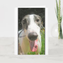 Search for hound photography Animals