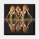 Search for rift magnets Africa