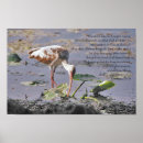 Search for seek god posters Scripture