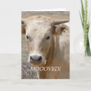 Search for funny cowboy invitations Country