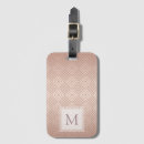 Search for luxury luggage tags Rose gold