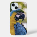 Search for macaw iphone cases Tropical bird