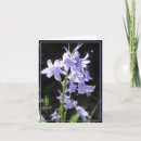 Search for bluebell cards Blank