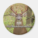 Search for deer buck magnets Woods