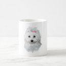 Search for fluffy puppy mugs Maltese
