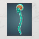 Search for cervical postcards Connection