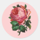 Search for single rose stickers Blossom