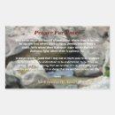 Search for st francis of assisi stickers Christianity