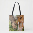Search for cutest bags Cute baby animals