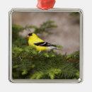 Search for wings christmas tree decorations Wildlife